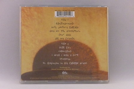 Counting Crows - This Desert Life