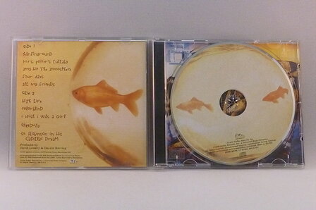 Counting Crows - This Desert Life