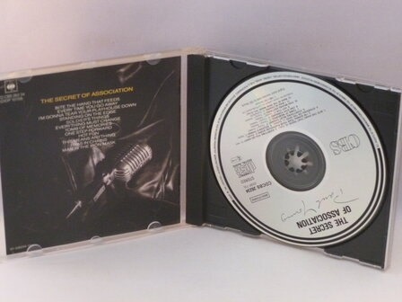 Paul Young - The secret of association