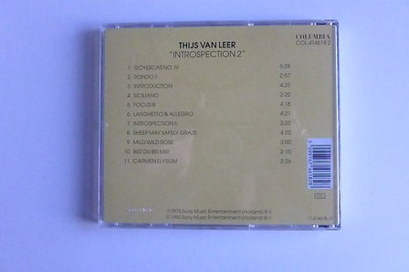 Thijs van Leer - Introspection 2
