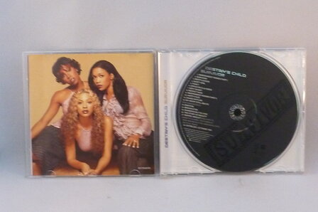Destiny&#039;s Child - Survivor
