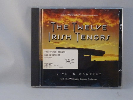 The Twelve Irish Tenors - Live in Concert