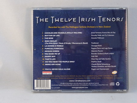 The Twelve Irish Tenors - Live in Concert