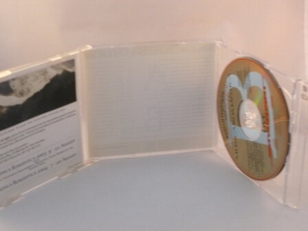 Musica Romantica Festival - St. Petersburg Philharmonic (2 CD)