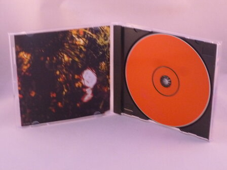 Kristin Hersh - Strange Angels