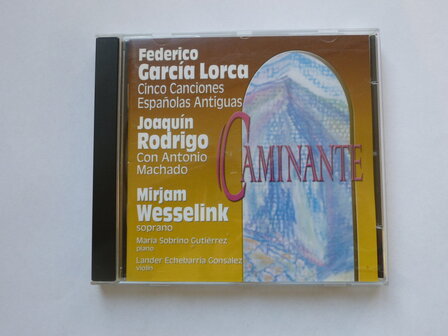 Mirjam Wesselink - Caminante