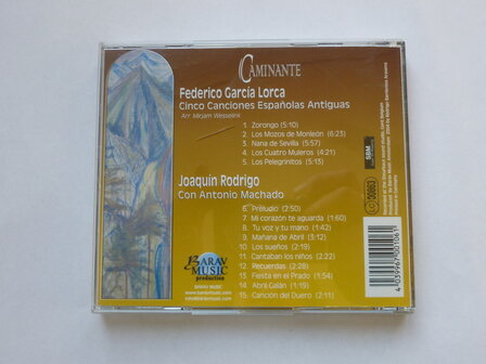 Mirjam Wesselink - Caminante