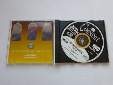 Mirjam Wesselink - Caminante