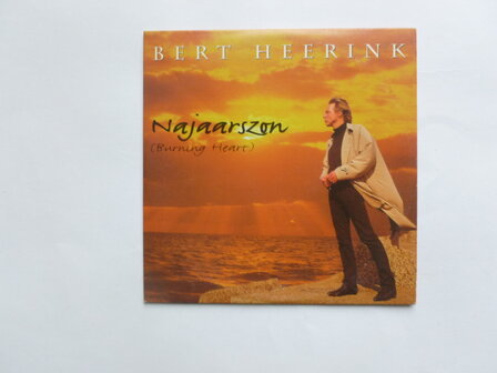 Bert Heerink - Najaarszon (CD Single)