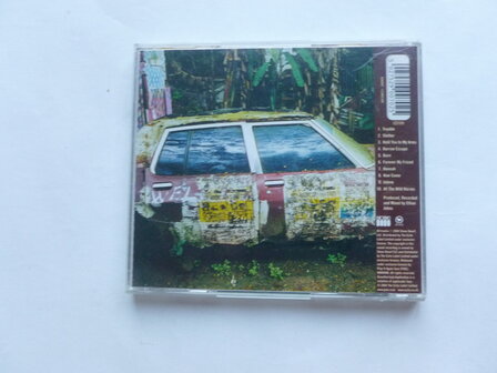 Ray Lamontagne - Trouble