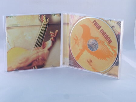 Raul Midon - Synthesis