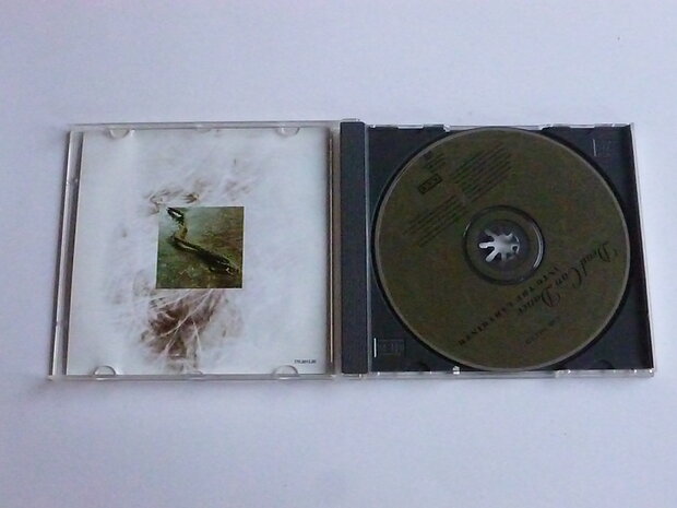 Dead Can Dance - Into the Labyrinth