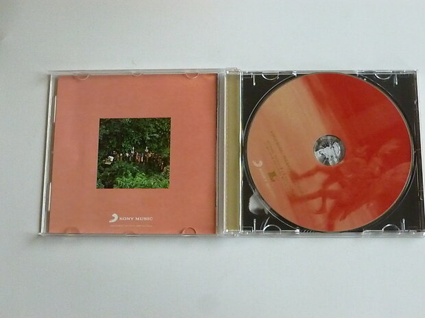 Paul Simon - The Rhythm of the Saints (geremastered)