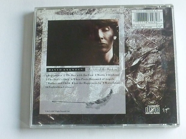 David Sylvian - Secrets of the Beehive