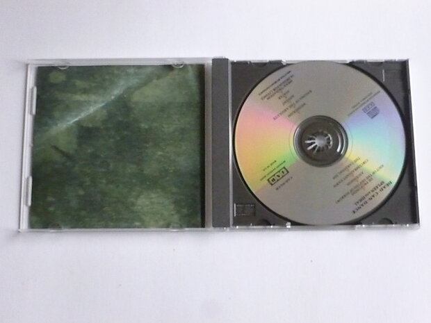 Dead Can Dance - Spleen and Ideal