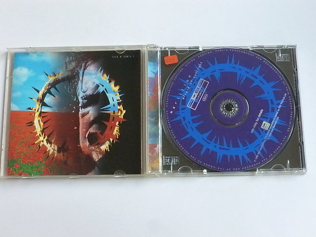 Marillion - Afraid of Sunlight