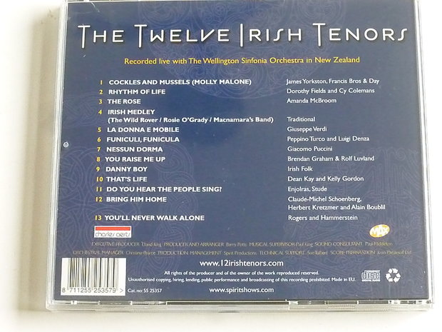 The Twelve Irish Tenors - Live in Concert