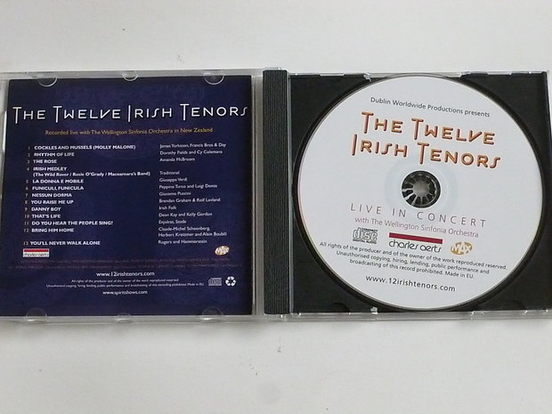 The Twelve Irish Tenors - Live in Concert