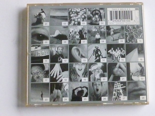 Paul McCartney - Driving Rain