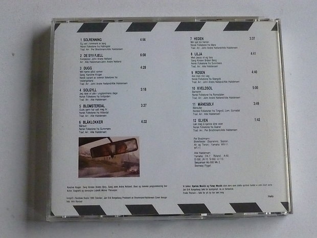 Brochmann Halstensen