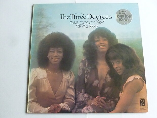 The Three Degrees - Take good care of yourself (LP)