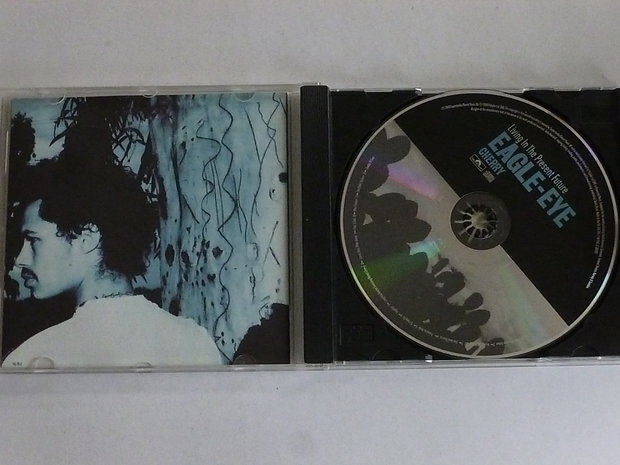 Eagle-Eye Cherry - Living in the Present Future