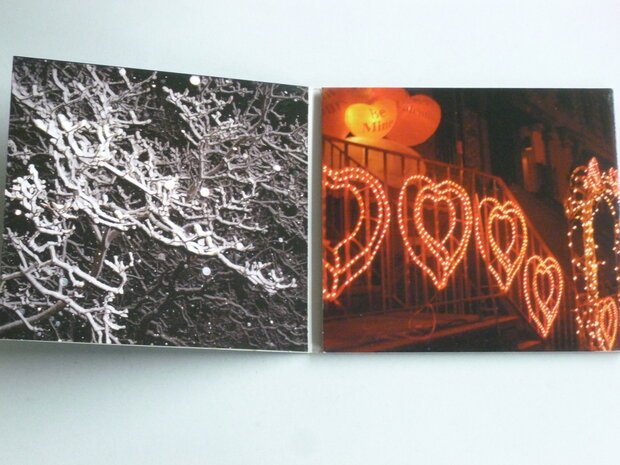 Joan as Police Woman - Real Life