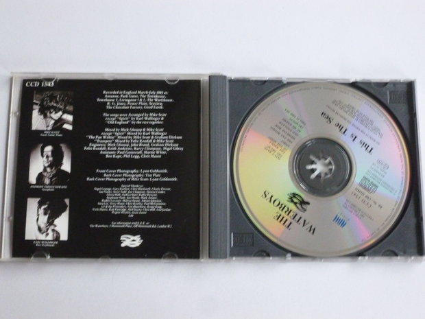 The Waterboys - This is the Sea (chrysalis)