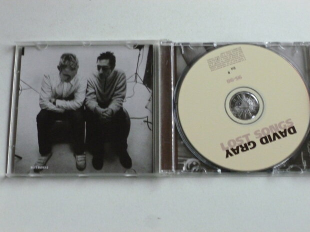 David Gray - Lost Songs 95 - 98