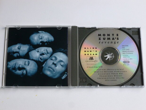 Montezuma's Revenge - Blind Man's Dream