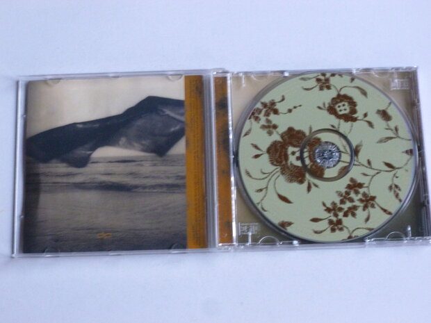 Cassandra Wilson - Belle of the sun (blue note)