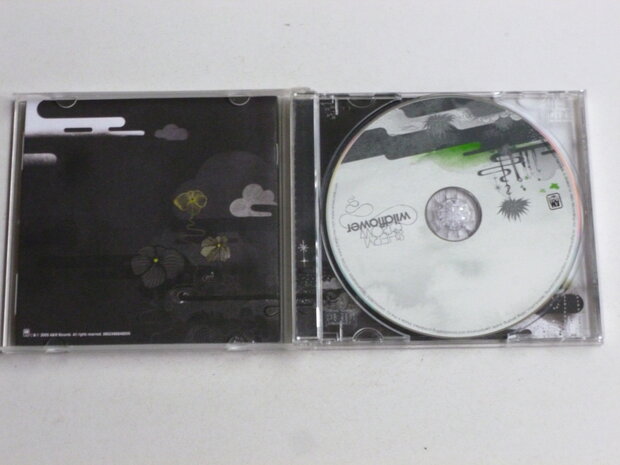 Sheryl Crow - Wildflower