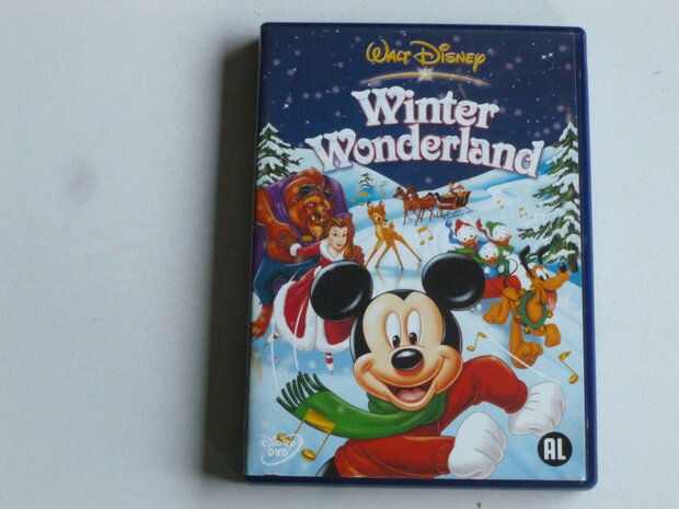 Walt Disney - Winter Wonderland (DVD)