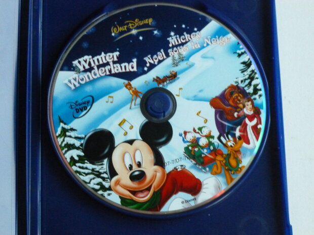 Walt Disney - Winter Wonderland (DVD)