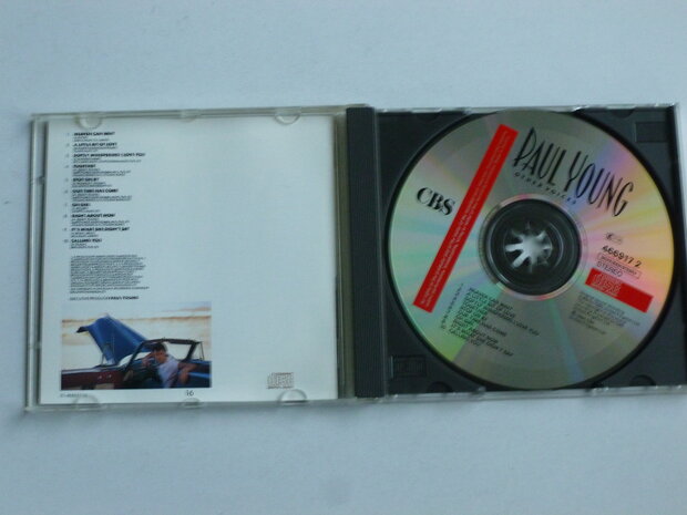 Paul Young - Other Voices