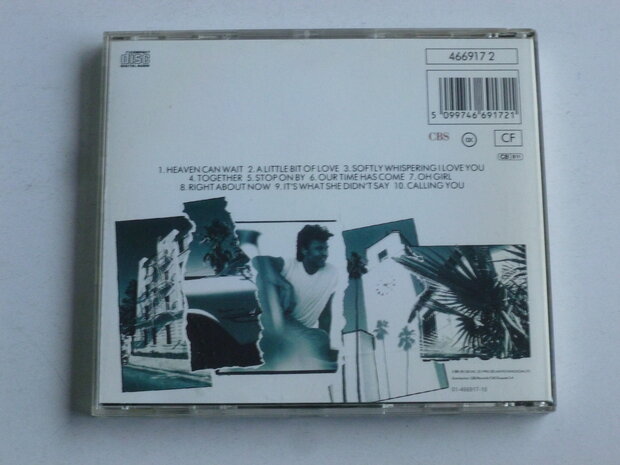 Paul Young - Other Voices