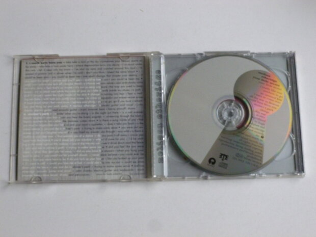 Melissa Etheridge - Your Little Secret (2 CD)