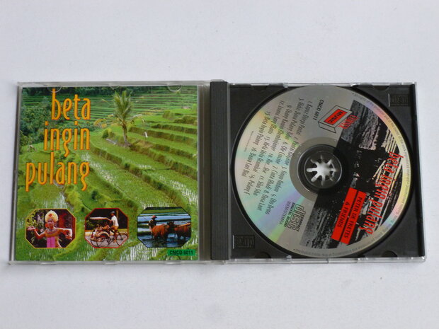 Peter De Fretes & Friends - Beta Ingin Pulang