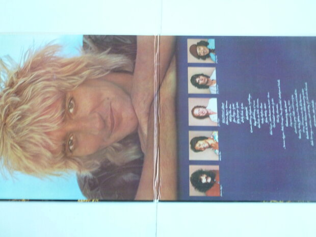 Rod Stewart - Blondes have more fun (Original Master Recording) LP
