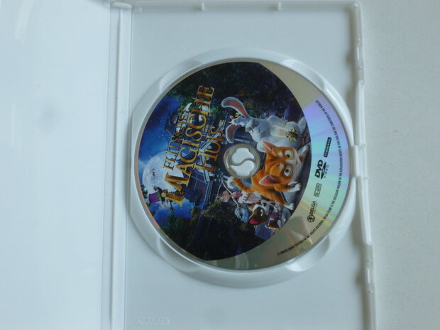 Flits & Het Magische Huis (DVD)