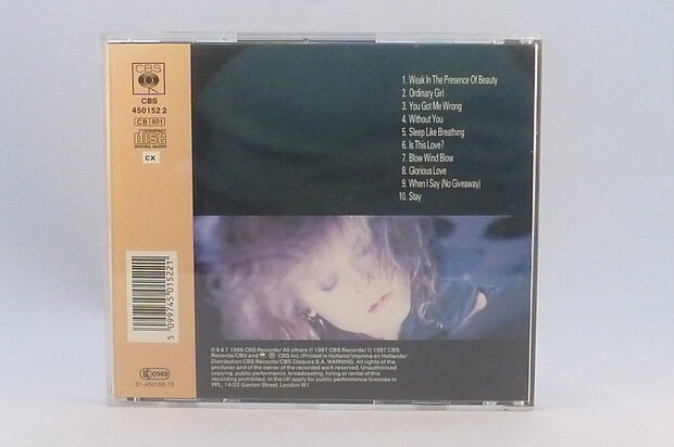 Alison Moyet - Raindancing