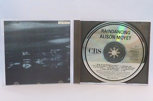 Alison Moyet - Raindancing