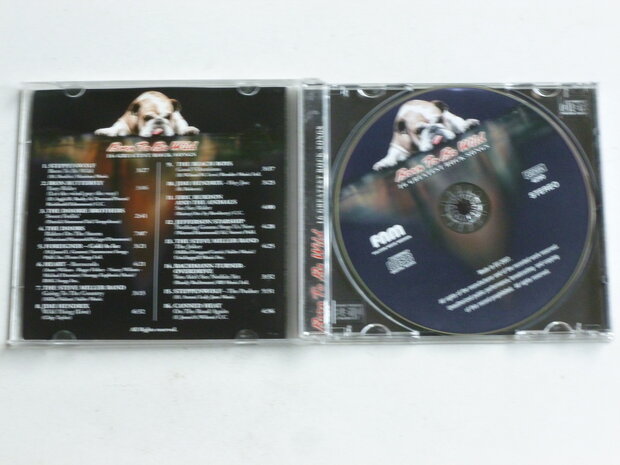 Born to be Wild -  16 Greatest Rock Songs / Various Artists