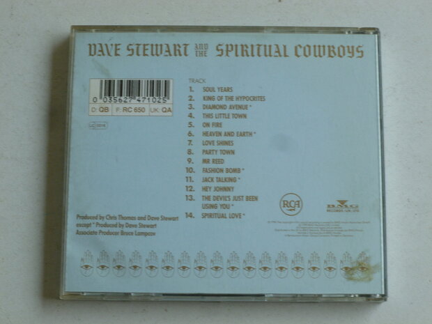 Dave Stewart and the Spiritual Cowboys