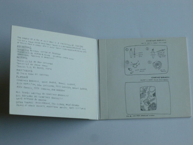 Courtney Barnett - A Sea of Split Peas (digipack)
