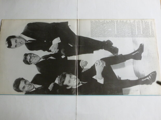 The Shadows - The Best of (2LP) 