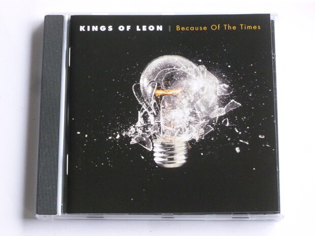 Kings of Leon - Because of the Times