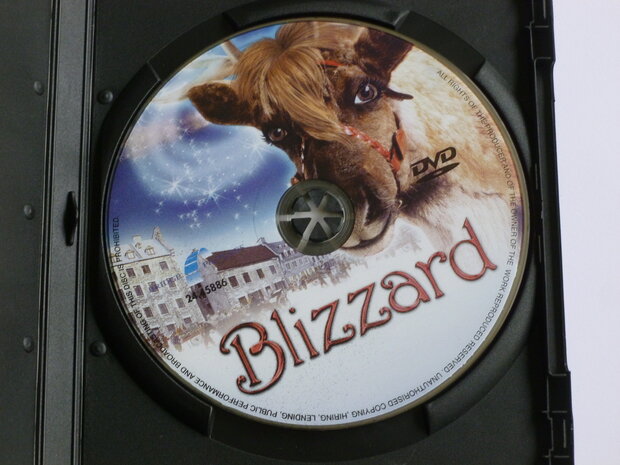 Blizzard (DVD)