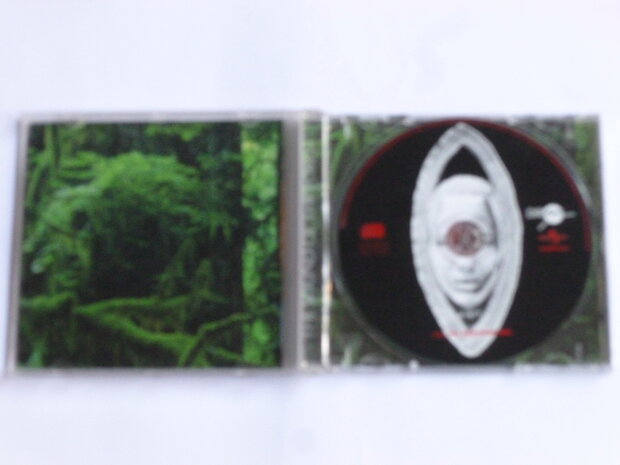 Raindance - The Sound of the Forest