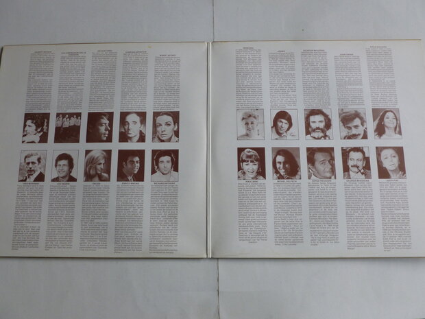 Les Disques d' or - Onvergetelijke Franse Successen (2 LP)